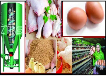 'Bangladesh poultry industry' at a look from 1935-2026, REPORT PREPARED BY AXON LTD, BANGLADESH