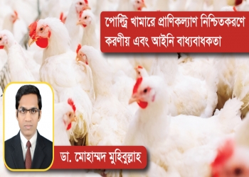 পোল্ট্রি খামারে প্রাণিকল্যাণ নিশ্চিতকরণে করণীয় এবং আইনি বাধ্যবাধকতা - ডা. মোহাম্মদ মুহিবুল্লাহ