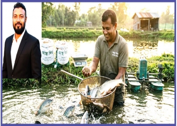জলরঙের ক্যানভাসে রুপালি বিপ্লব: তেলাপিয়া চাষের এক নতুন দিগন্ত