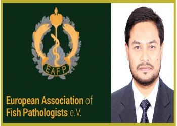European Association of Fish Pathologists (EAFP)-এর সদস্য পদ অর্জন করেছেন দেশের খ্যাতিমান মৎস্য পুষ্টিবিদ সাইফি নাসির