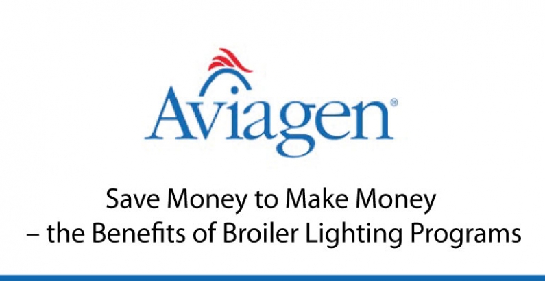 Save Money to Make Money – the Benefits of Broiler Lighting Programs