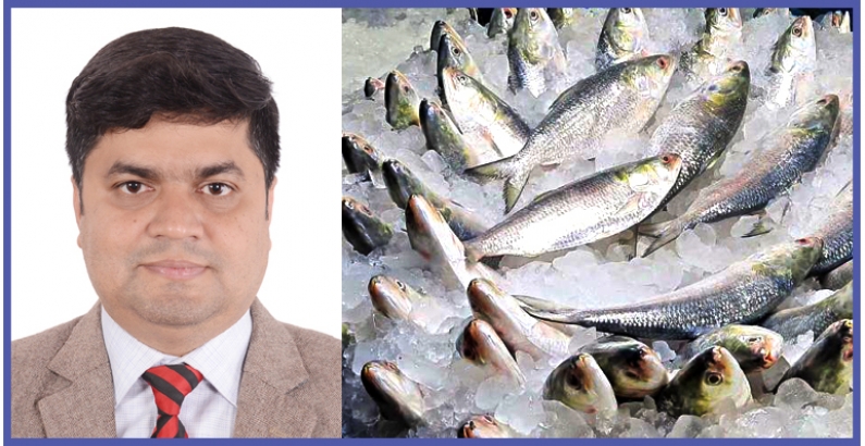 জাটকা বাঁচাও, ইলিশ বাড়াও, — ড. মো. শরীফুল ইসলাম, সার্ক কৃষি কেন্দ্র