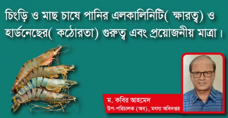 চিংড়ি ও মাছ চাষে পানির এলকালিনিটি( ক্ষারত্ব) ও হার্ডনেছের( কঠোরতা) গুরুত্ব এবং প্রয়োজনীয় মাত্রা। 