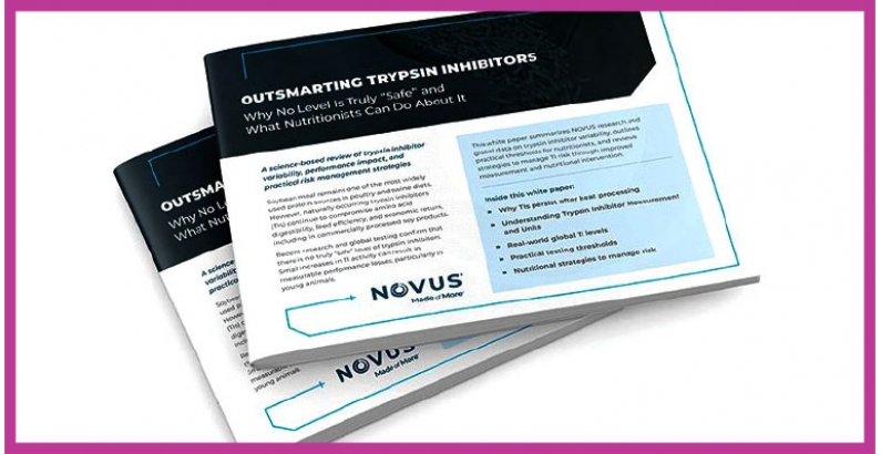 NOVUS Releases Global Soybean Data, Highlights Risk Hidden in Poultry and Swine Diets