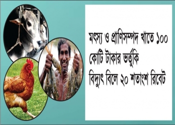 মৎস্য ও প্রাণিসম্পদ খাতে ১০০ কোটি টাকার ভর্তুকি, বিদ্যুৎ বিলে ২০ শতাংশ রিবেট