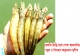 ভেনামি চিংড়ি চাষে পোনা আমাদানির নতুন ও বিদ্যমান অনুমোদন স্থগিত